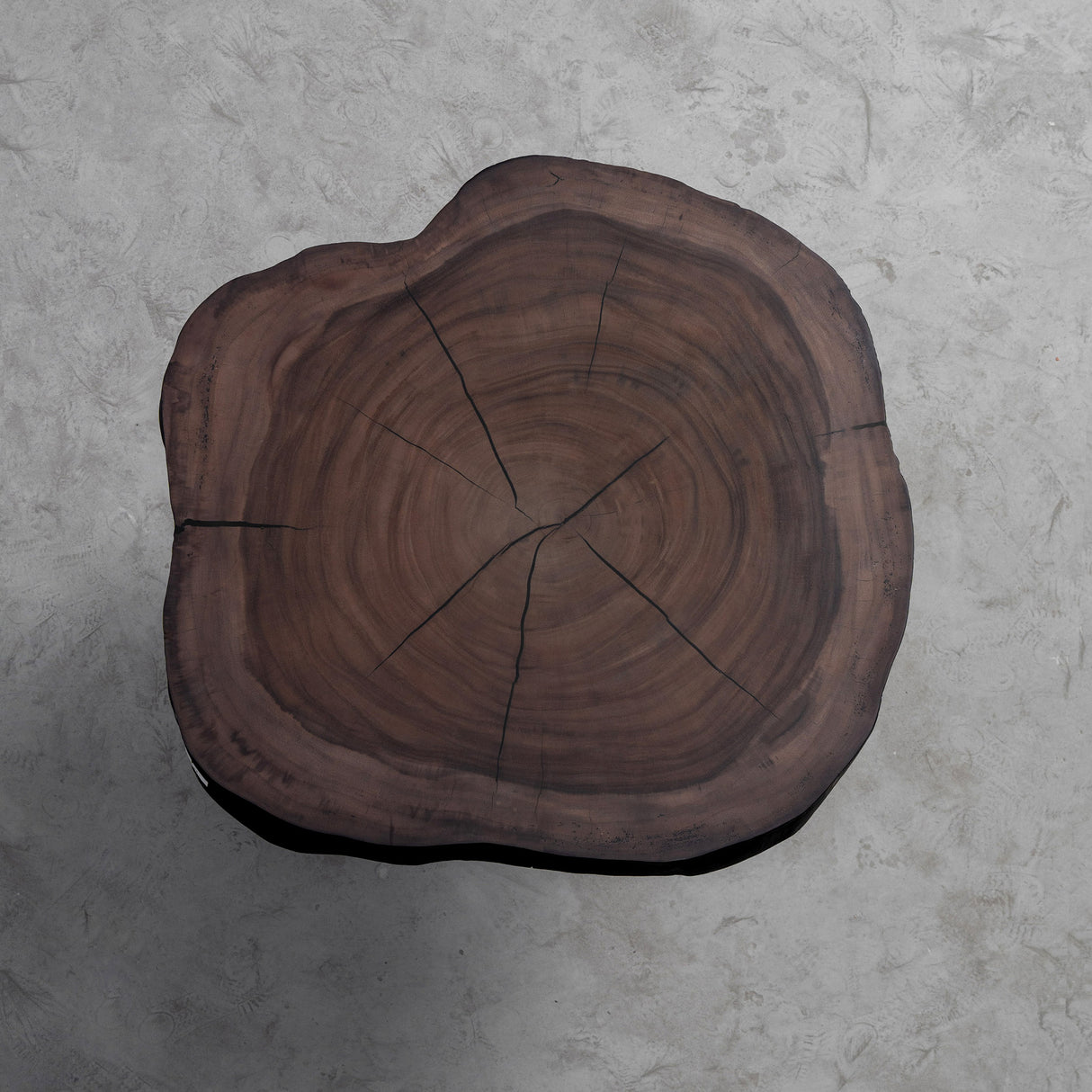 Elite Modern Black Walnut Round Coffee Table with Live Edge EWT-33