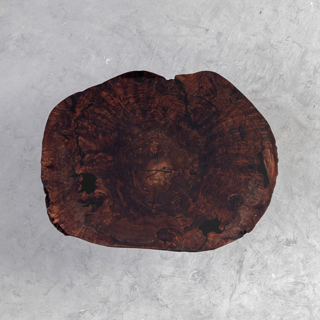 Elite Rustic Live Edge Black Walnut Coffee Table with Epoxy Fills EWT-29