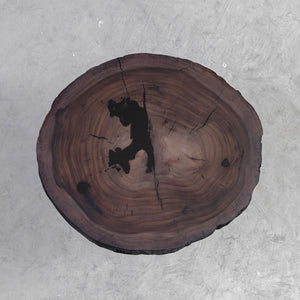 Elite Custom Live Edge Black Walnut Coffee Table with Epoxy Fills EWT-01