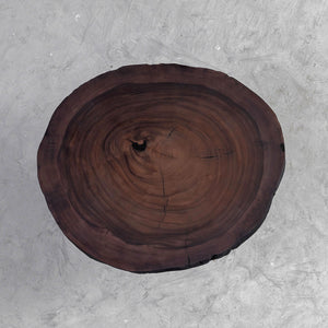 Elite Rustic Black Walnut Round Coffee Table with Live Edge EWT-28
