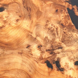 Cunninghamia 