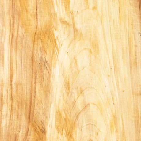 Poplar