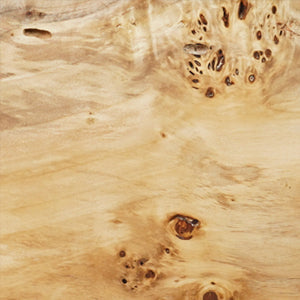 Poplar